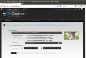 Abbildung 9: Der Clip Converter konvertiert das Video gleich ins Wunschformat.