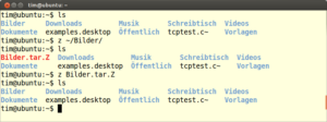 Z löscht beim Entpacken eigenmächtig das Archiv.