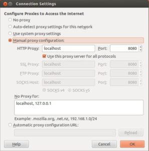 Abbildung 2: Um Safesquid zu nutzen, gilt es, den Browser entsprechend zu konfigurieren.