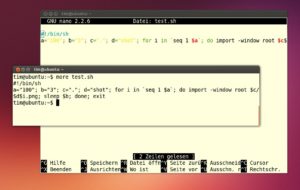 Abbildung 3: Zeilen mit mehr als 80 Zeichen bricht das Terminal um. Manche Editoren (wie hier Nano im Hintergrund) schneiden die Zeile einfach am rechten Rand ab.