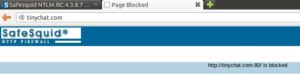 Abbildung 5: Möchten Sie eine geblockte Seite aufrufen, zeigt die Software nur einen entsprechenden Hinweis an.
