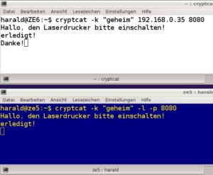 Abbildung 5: Privater Chat mit Cryptcat.