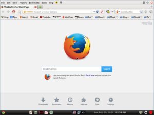 Abbildung 1: Just Browsing startet sofort automatisch den Browser.