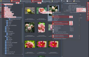 Abbildung 12: Digikam ist die führende Fotoverwaltung unter Linux. Ihre zahlreichen Ordnungs- und Gruppierungsfunktionen erreichen Sie über die kleinen Icons am rechten Fensterrand. Viele weitere zentrale Funktion sind per Rechtsklick auf ein Foto erreichbar.