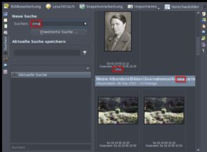 Abbildung 17: Die einfache Suche durchsucht alle vorliegenden Daten (Tags, Datei- und Verzeichnisnamen, in die Fotos eingebettete Informationen). Die "erweiterte Suche" geht selektiver vor.