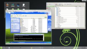 Abbildung 3: Zweimal der gleiche Ordner: links im Explorer des virtuellen Windows XP, rechts im KDE-Dateimanager Dolphin. Das Netzwerk ist deaktiviert, wie in der Windows-Shell die Kommandos "ipconfig" und "ping" verraten.