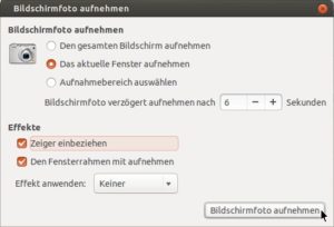 Abbildung 4: Entscheiden Sie, was Sie wann aufnehmen. In diesem Dialog legen Sie auch fest, ob der Schnappschuss den Mauszeiger und die Fensterrahmen zeigt.