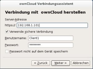Abbildung 4: Zur Verbindungsaufnahme mit dem Server benötigen Sie lediglich dessen IP-Adresse sowie die Zugangsdaten.