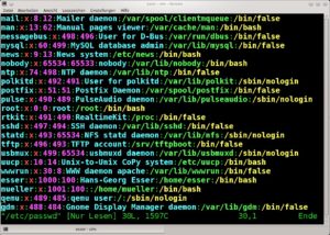 Abbildung 4: In der Datei "/etc/passwd" finden Sie zu jedem Benutzernamen zwei IDs (hier lila hervorgehoben): erst die User-ID, dann die ID der Standardgruppe.