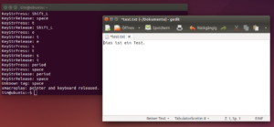 Hier hat Xmacro den Text in den Editor "eingetippt".