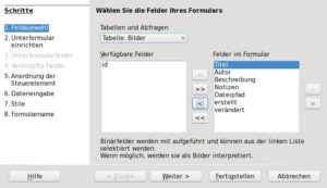 Abbildung 4: Im Formularassistenten brauchen Sie nur die Felder und die Formatierung zu wählen, in der der Assistent die Felder im automatisch erzeugten Formular anordnet.