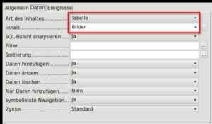 Abbildung 7: Jedes Formular ist an eine Datenquelle (Abfrage oder Tabelle) gebunden. Mithilfe von eingebetteten Unterformularen greift eine Eingabemaske trotzdem auf mehrere Tabellen zu.
