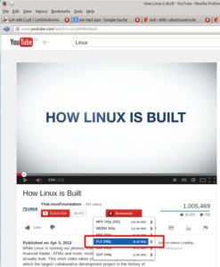 Abbildung 1: Viele Firefox-Plug-ins speichern Videodateien im Flash-Video-Format ("*.flv").