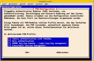 Abbildung 3: Ein- und Ausschalten der installierten PAM-Module.