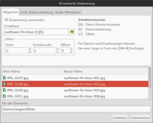 Abbildung 5: Speziell beim Umbenennen mehrerer Dateien stellt Sunflower viele nützliche Optionen bereit.