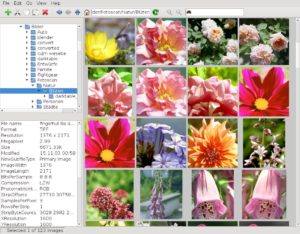 Abbildung 6: Wer einfach nur zügig seine Fotosammlung durchblättern möchte, findet in dem minimalistischen Programm Phototonic die richtige Anwendung.