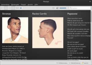 Abbildung 3: Auch der belgische Rapper Stromae fühlt sich in Musique gut aufgehoben.