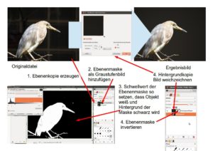 Abbildung 4: Das Absetzen des Vogels vom Hintergrund erfordert zwar etwas Erfahrung und Fingerspitzengefühl. Der Einsatz lohnt sich aber in jedem Fall.