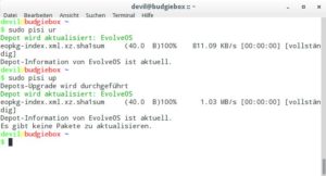 Abbildung 3: Das aus dem Pardus-Projekt stammende Paketmanagement Pisi übernimmt das Verwalten der Software auf dem System.
