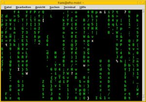 Abbildung 8: Möchten Sie das Matrix-Feeling im Terminal, hilft Cmatrix weiter.