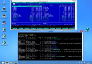 Abbildung 8: Dank Cygwin können auch Windows-Anwender einen Großteil der Linux-Shell-Tools nutzen.