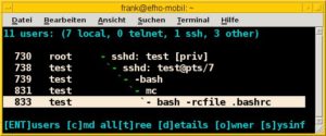 Abbildung 1: Das Tool Whowatch stellt die Prozessanalyse grafisch aufbereitet dar.