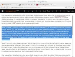 Abbildung 2: Für TXT- und ODT-Dokumente bietet Simpledrive einen Editor.