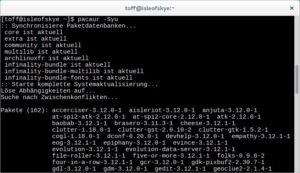 Abbildung 1: Nur wenige Tage nach der Veröffentlichung großer Software-Projekte wie Gnome stehen diese als Update in den Paketquellen von Arch zur Verfügung.