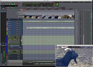 Abbildung 7: Die Thumbnails in der Zeitleiste dienen zur Orientierung im Film, der Monitor rechts unten zeigt das Video synchron zu Ardours Zeitleiste.