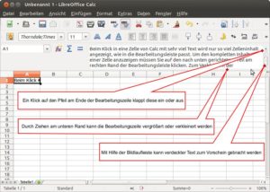 Abbildung 1: Langen Text in einer Spalte können Sie in der Eingabezeile betrachten, wenn Sie diese ausklappen.