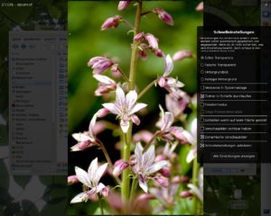 Abbildung 17: Dezent halbtransparent, ohne Titelleiste und mit Bedienelementen, die sich erst bei Mauskontakt öffnen, stellt der Bildbetrachter PhotoQt konsequent das Bild in den Mittelpunkt.