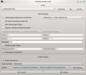 Abbildung 2: Aus einer Vielzahl von Video- und Audio-Parametern legen Sie fest, welches Format das Video haben soll. Je höher die Qualität, desto größer die Datei.