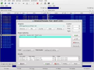 Abbildung 5: Gute, alte Zeit: Der Gnome Commander bewahrt die Kommandozeilenoptik ebenso wie die einst beim Gnome-Dateimanager eingebaute Zweispaltenansicht. Ein Umbenennen-Tool gibt es auch.