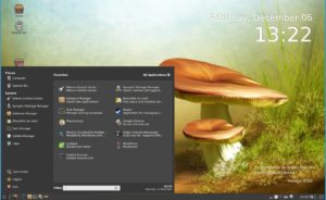 Abbildung 1: Trotz der Reduktion auf das Wesentliche offenbart das Anwendungsmenü von MakuluLinux Cinnamon 2.0 eine große Fülle an Software.