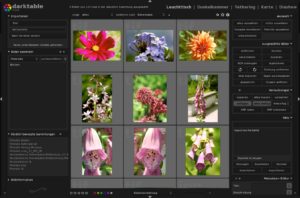 Abbildung 2: Darktable bringt neben seinen Bildbearbeitungsfunktionen eine komplette Fotoverwaltung mit, die den Einsatz von Drittprogrammen wie Digikam überflüssig macht.