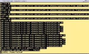 Abbildung 4: Sollten Sie vergessen haben, das Log zu aktivieren, lassen sich Inhalte der Screen-Sitzung per Copy & Paste zwischen den Fenstern übertragen.