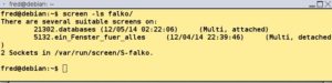 Abbildung 5: Wie bei einem Remote-Desktop lässt sich eine Screen-Sitzung mit anderen Benutzern teilen.