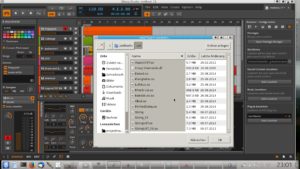 Abbildung 6: Neue Verzeichnisse für VST-Plugins tragen Sie in Bitwig im Browserkasten des Config-Bereichs rechts ein. Plugins im DLL-Format, wie hier CrazyDiamonds, ignoriert die Software jedoch.