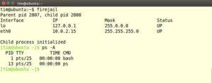 Abbildung 1: Beim Start gibt Firejail noch eine Übersicht über die in der Sandbox gültigen IP-Adressen. In der von Firejail gestarteten Sandbox besitzt das eingesperrte Programm immer die Prozess-ID 1.