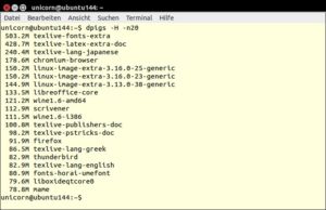 Abbildung 4: Das kleine Tool "dpigs" zeigt auf Debian-basierten Distributionen die Pakete an, die den meisten Platz verschlingen.