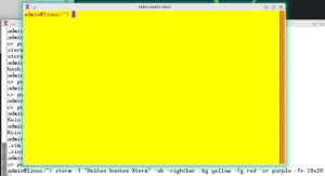 Abbildung 6: Das Xterm beeinflussen Sie schon beim Start über verschiedene Aufrufparameter. Zugegeben – eine Augenweise ist das grelle Terminal allerdings nicht.