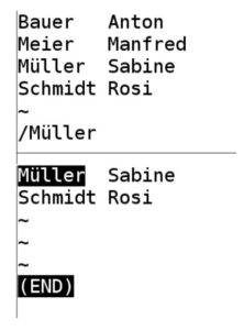 Abbildung 1: Suchen Sie innerhalb von Less nach einem Begriff, hinterlegt die Software die gefundenen Stellen invers.