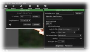 Abbildung 3: Die Schaltflächen <code srcset=