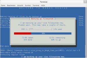Abbildung 3: Während des Backups hält Sie die Software über den Fortschritt auf dem Laufenden.
