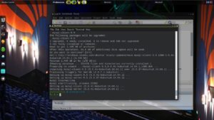 Abbildung 5: Die erste Aktualisierung des frisch installierten Puzzle-Linux-Systems spült rund 300 neue Pakete auf die Festplatte.