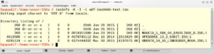 Abbildung 2: Das Programm "isoinfo" kann auch eine Liste aller Dateien auf dem ISO-Image anzeigen.