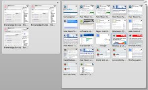 Abbildung 3: Die Firefox-"Panorama"-Funktion, die geöffnete Tabs gruppiert und damit für Übersicht sorgen soll, benutzen nach Meinung der Pale-Moon-Entwickler nur wenige Anwender. Darum setzt Pale Moon weiter auf die klassische, durchsuchbare Tab-Übersicht früherer Firefox-Versionen (Abbildung 2, links).