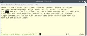 Abbildung 4: Vim fragt auf Wunsch nach, ob Sie wirklich einen Begriff durch einen anderen ersetzen möchten.