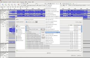 Abbildung 4: Viele der von Audacity unterstützten Audio-Ausgaben erlauben die Konfiguration der Bittiefe und weiterer Header-Parameter.