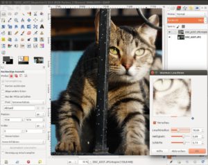 Abbildung 5: Nutzen Sie die Wirkung des Filters "Warmes Leuchten" wenn Sie eine Möglichkeit suchen Bilder weicher und verträumter darzustellen.